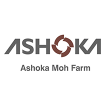 Our Client