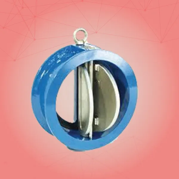Dual Disk Check Valves