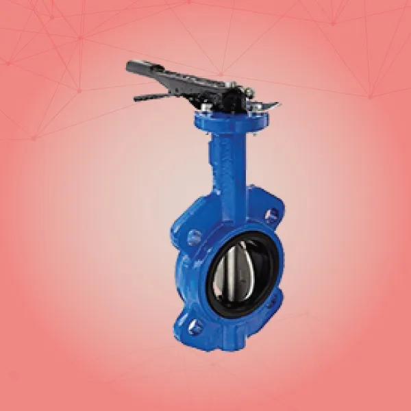 Fully Lined Body Valves