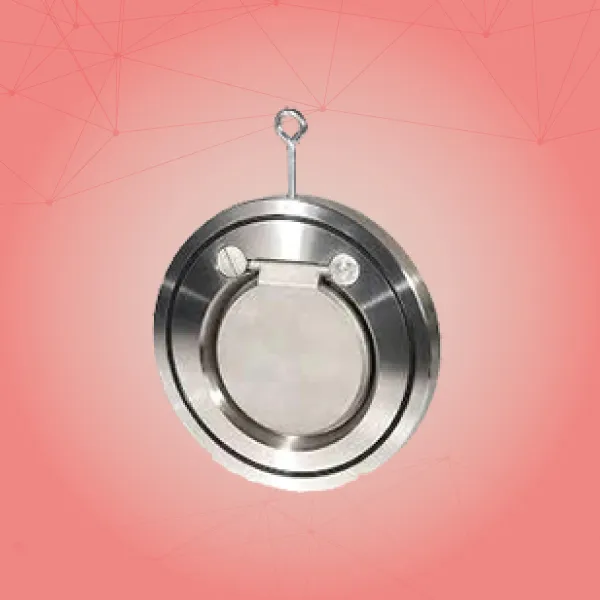 Water Check Valves
