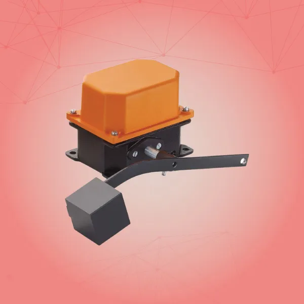 Gravity Limit Switch Supplier in Ahmedabad