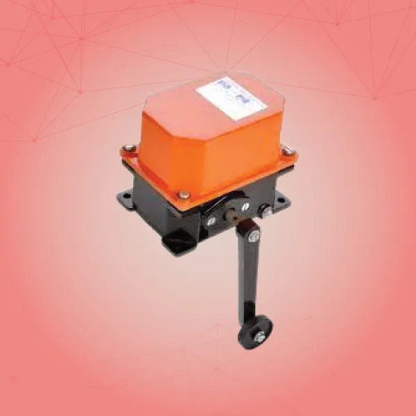 Lever Limit Switch Supplier in Ahmedabad