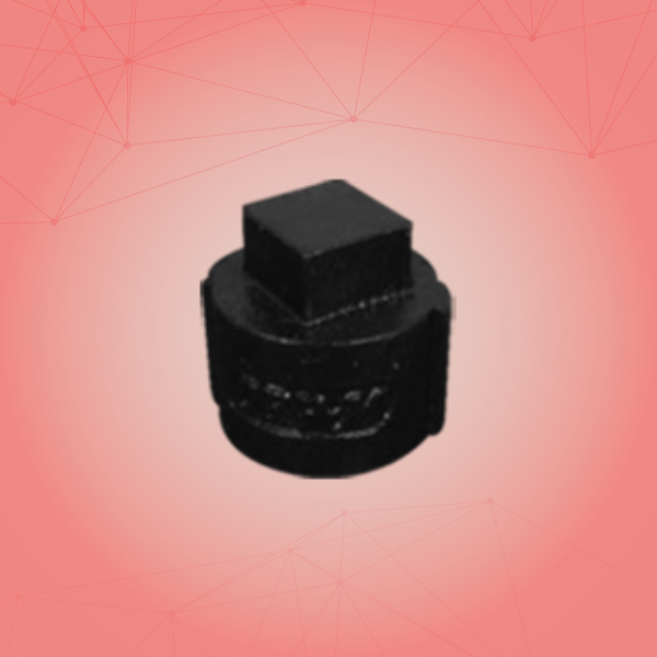 Cap Plug