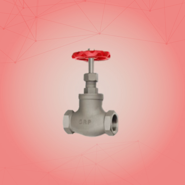 S.S. Globe Steam Valve Screwed