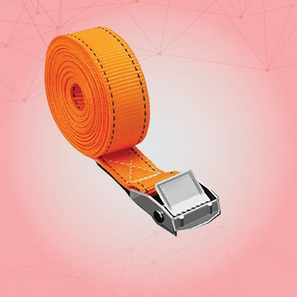 CFL Lamp Supplier in Ahmedabad