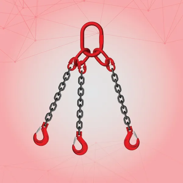 Wire Rope Multileg Slings Supplier in Ahmedabad