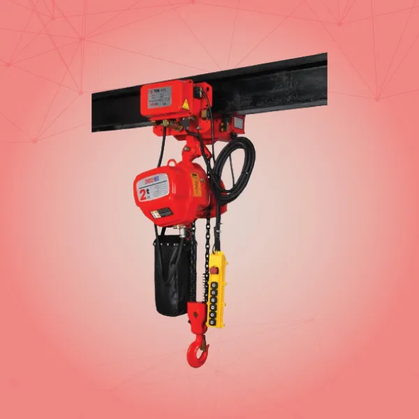 Industrial Hoist Supplier in Ahmedabad