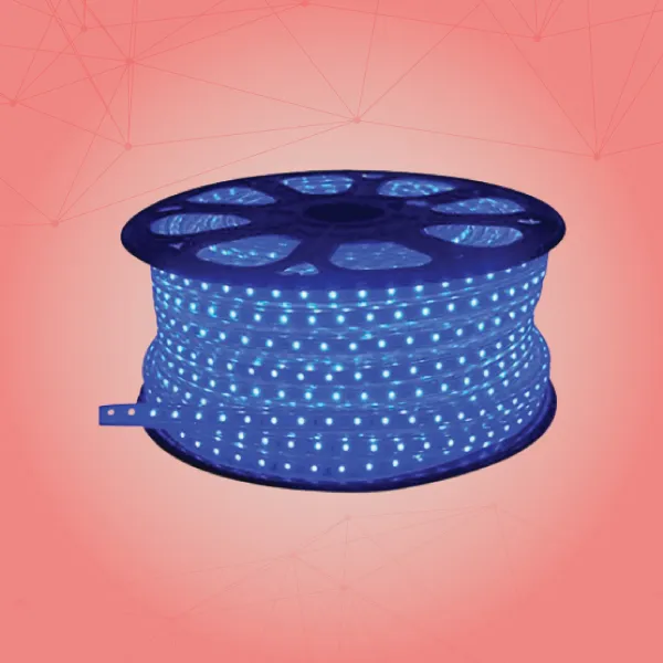 Led Rope Light Supplier in Ahmedabad